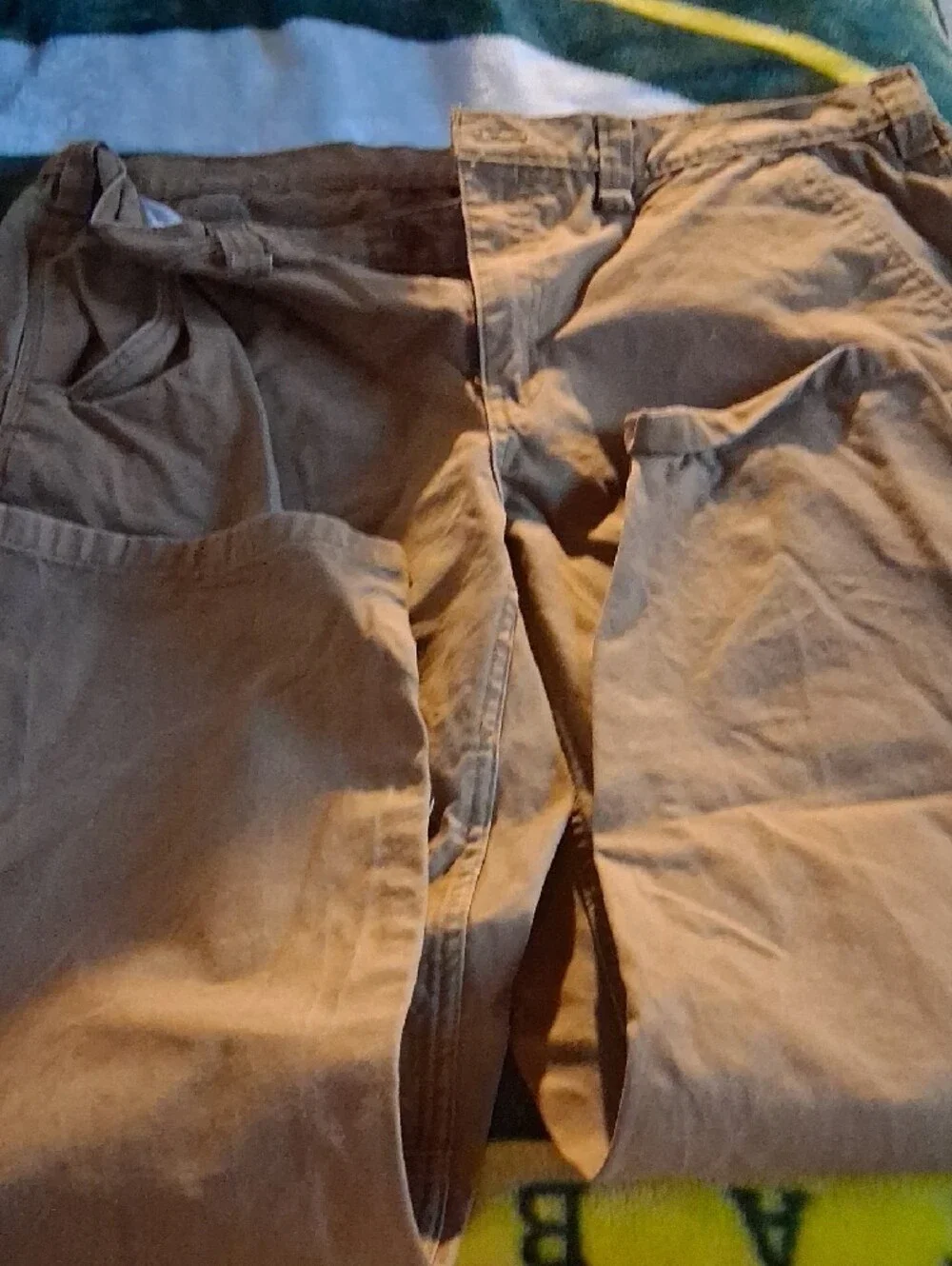 Brahma Men's Cargo Pants in Brown